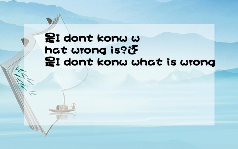 是I dont konw what wrong is?还是I dont konw what is wrong