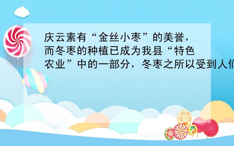 庆云素有“金丝小枣”的美誉，而冬枣的种植已成为我县“特色农业”中的一部分，冬枣之所以受到人们的喜爱，是因为它不仅营养丰富