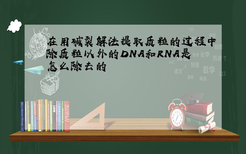 在用碱裂解法提取质粒的过程中除质粒以外的DNA和RNA是怎么除去的