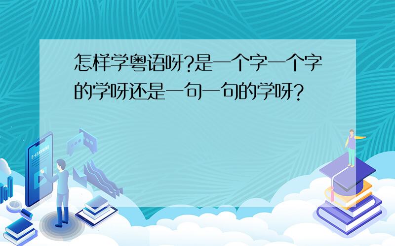 怎样学粤语呀?是一个字一个字的学呀还是一句一句的学呀?