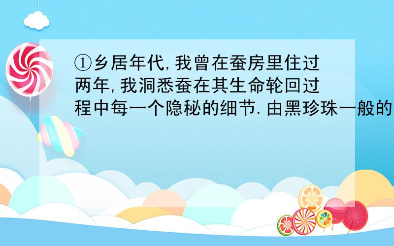 ①乡居年代,我曾在蚕房里住过两年,我洞悉蚕在其生命轮回过程中每一个隐秘的细节.由黑珍珠一般的子儿,到肉嘟嘟的蚕儿,到沉睡