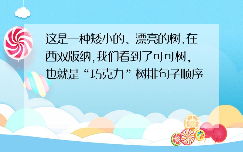 这是一种矮小的、漂亮的树.在西双版纳,我们看到了可可树,也就是“巧克力”树排句子顺序