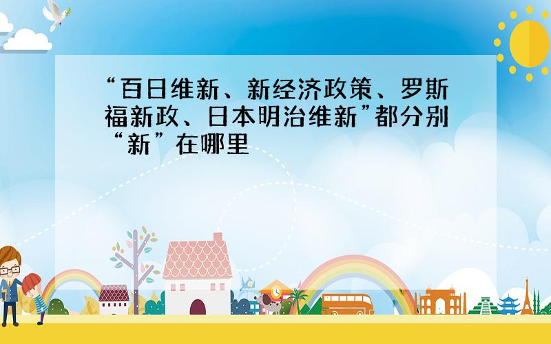 “百日维新、新经济政策、罗斯福新政、日本明治维新”都分别 “新” 在哪里