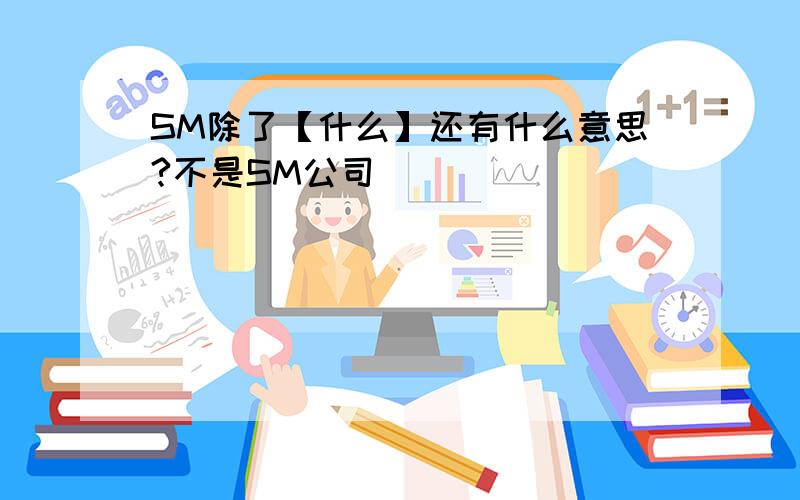 SM除了【什么】还有什么意思?不是SM公司