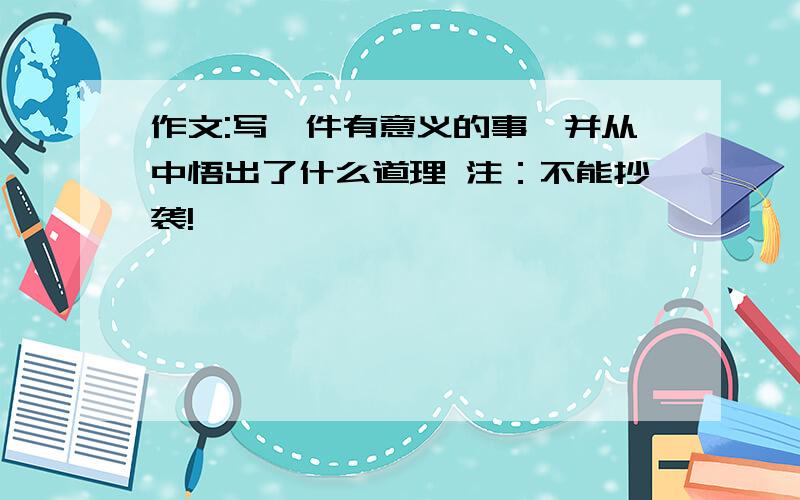 作文:写一件有意义的事,并从中悟出了什么道理 注：不能抄袭!