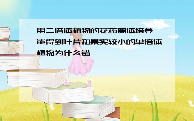 用二倍体植物的花药离体培养,能得到叶片和果实较小的单倍体植物为什么错