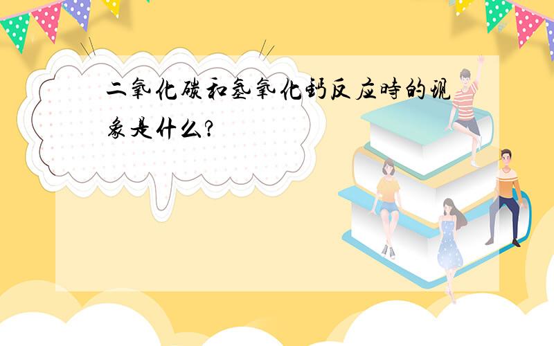 二氧化碳和氢氧化钙反应时的现象是什么?