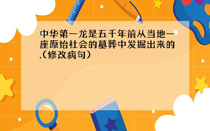 中华第一龙是五千年前从当地一座原始社会的墓葬中发掘出来的.(修改病句)