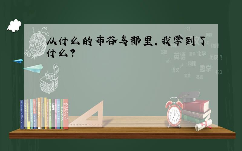 从什么的布谷鸟那里,我学到了什么?