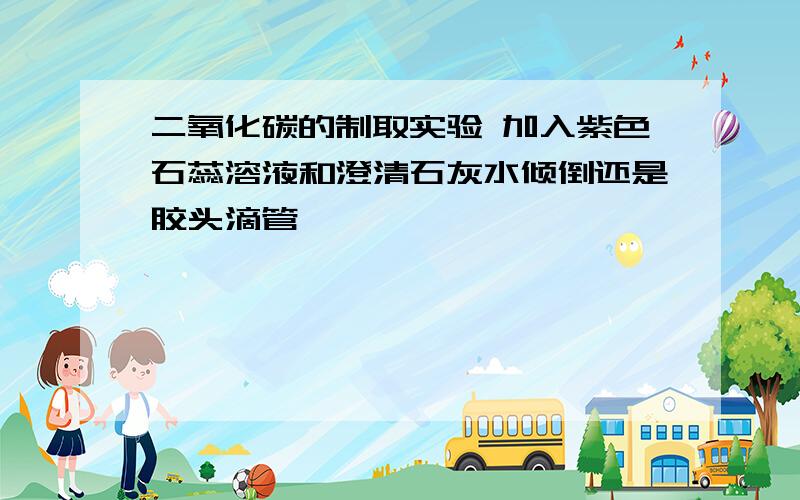 二氧化碳的制取实验 加入紫色石蕊溶液和澄清石灰水倾倒还是胶头滴管