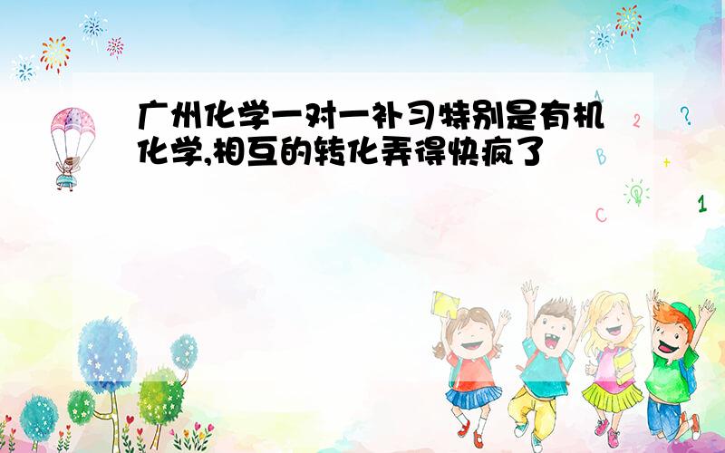 广州化学一对一补习特别是有机化学,相互的转化弄得快疯了