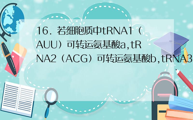 16．若细胞质中tRNA1（AUU）可转运氨基酸a,tRNA2（ACG）可转运氨基酸b,tRNA3（UAC）可携带氨基酸