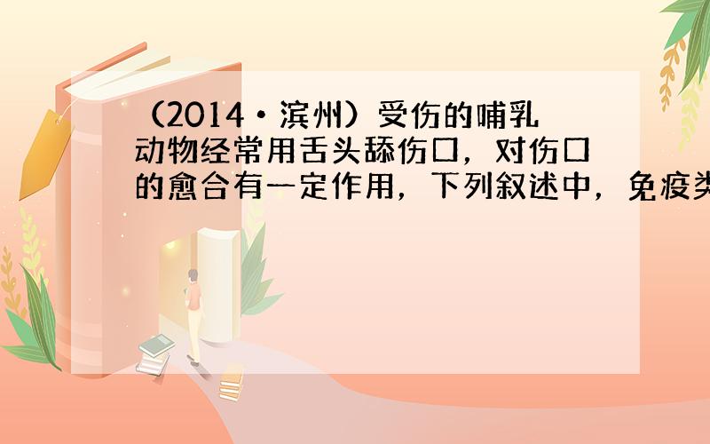 （2014•滨州）受伤的哺乳动物经常用舌头舔伤口，对伤口的愈合有一定作用，下列叙述中，免疫类型与之不同的是（　　）