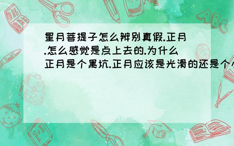 星月菩提子怎么辨别真假.正月.怎么感觉是点上去的.为什么正月是个黑坑.正月应该是光滑的还是个小坑