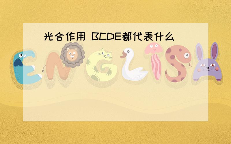 光合作用 BCDE都代表什么