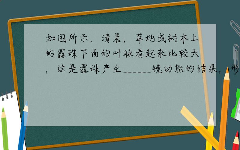 如图所示，清晨，草地或树木上的露珠下面的叶脉看起来比较大，这是露珠产生______镜功能的结果，形成了______、__