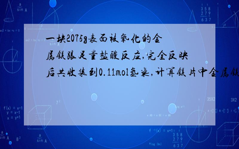 一块2075g表面被氧化的金属镁跟足量盐酸反应,完全反映后共收集到0.11mol氢气,计算镁片中金属镁的质量分