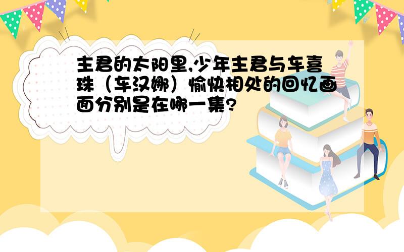 主君的太阳里,少年主君与车喜珠（车汉娜）愉快相处的回忆画面分别是在哪一集?