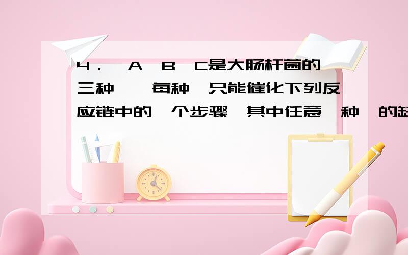 4．酶A、B、C是大肠杆菌的三种酶,每种酶只能催化下列反应链中的一个步骤,其中任意一种酶的缺失均能导致该菌因缺少化合物丁