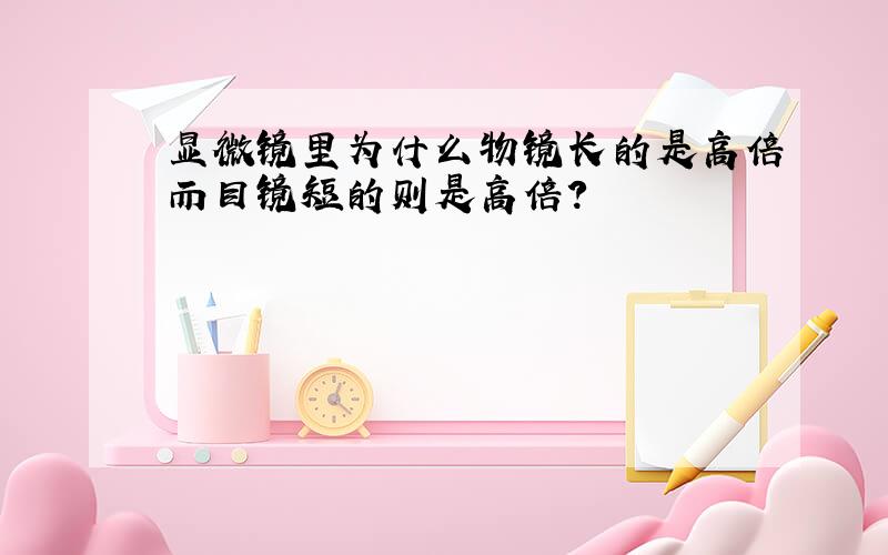 显微镜里为什么物镜长的是高倍而目镜短的则是高倍?