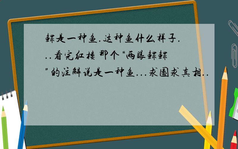 鳏是一种鱼.这种鱼什么样子...看完红楼 那个“两眼鳏鳏”的注解说是一种鱼...求图求真相..