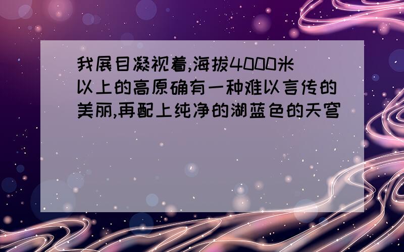 我展目凝视着,海拔4000米以上的高原确有一种难以言传的美丽,再配上纯净的湖蓝色的天穹