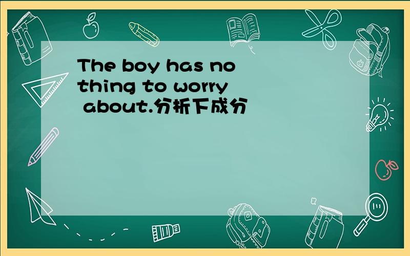 The boy has nothing to worry about.分析下成分