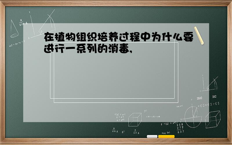 在植物组织培养过程中为什么要进行一系列的消毒,