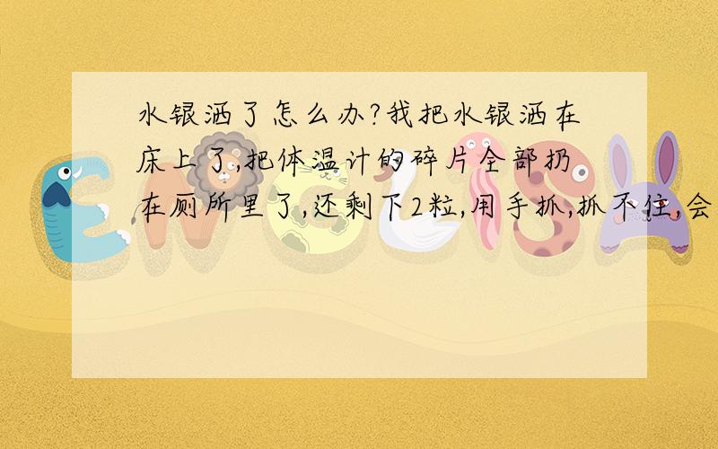 水银洒了怎么办?我把水银洒在床上了,把体温计的碎片全部扔在厕所里了,还剩下2粒,用手抓,抓不住,会不会有什么危险?