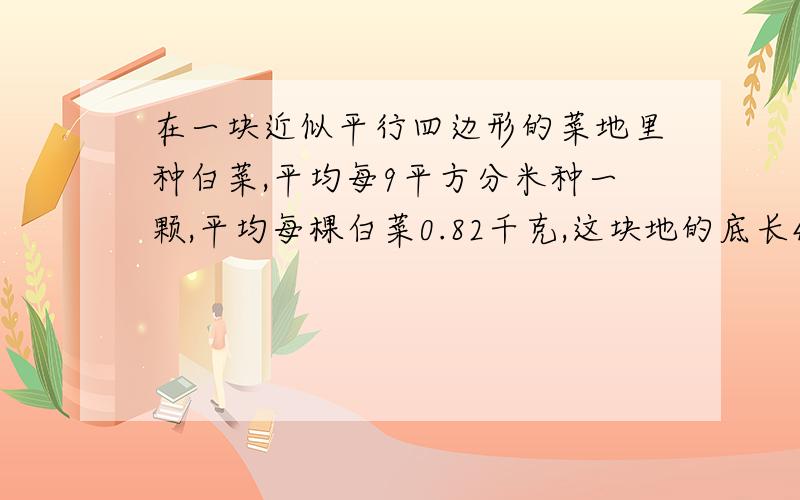 在一块近似平行四边形的菜地里种白菜,平均每9平方分米种一颗,平均每棵白菜0.82千克,这块地的底长45米,高23米,可收