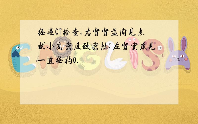 经过CT检查,右肾肾盏内见点状小高密度致密灶,左肾实质见一直径约0.