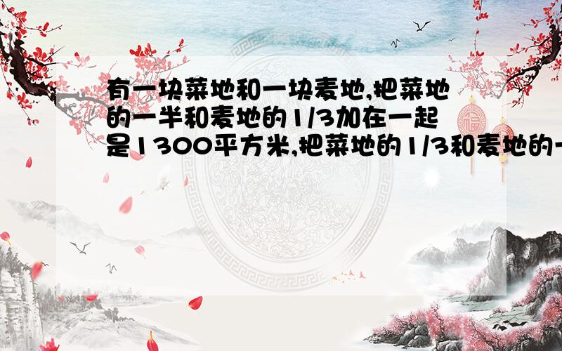 有一块菜地和一块麦地,把菜地的一半和麦地的1/3加在一起是1300平方米,把菜地的1/3和麦地的一半加在一起