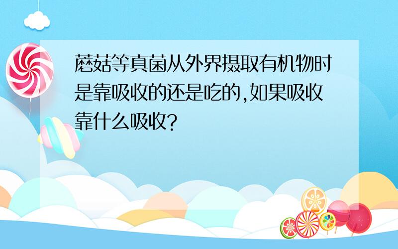 蘑菇等真菌从外界摄取有机物时是靠吸收的还是吃的,如果吸收靠什么吸收?