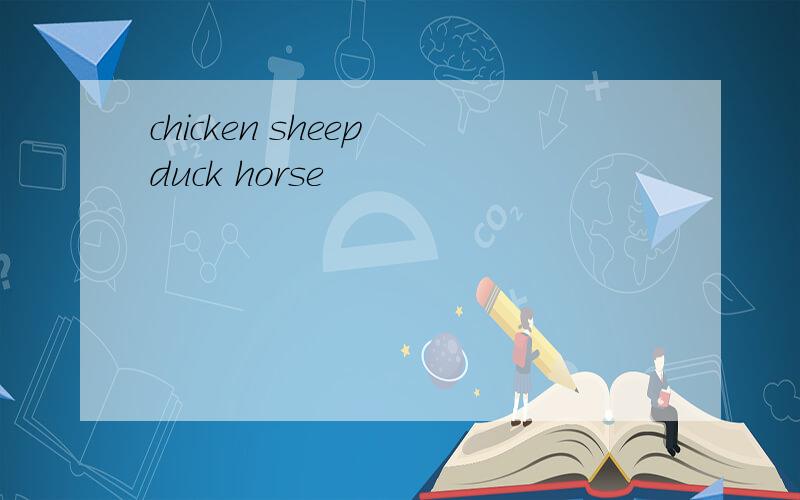 chicken sheep duck horse