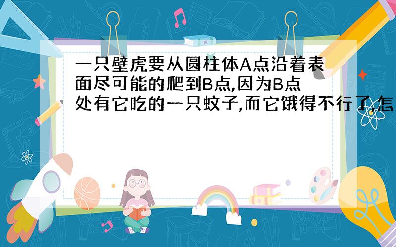 一只壁虎要从圆柱体A点沿着表面尽可能的爬到B点,因为B点处有它吃的一只蚊子,而它饿得不行了,怎么爬最短?