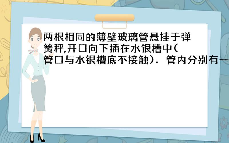 两根相同的薄壁玻璃管悬挂于弹簧秤,开口向下插在水银槽中(管口与水银槽底不接触)．管内分别有一段长h1、h2的水银柱(h1