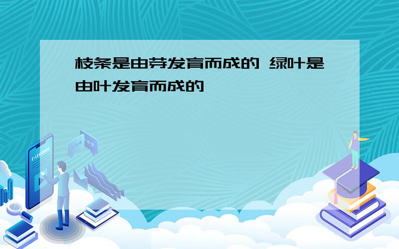 枝条是由芽发育而成的 绿叶是由叶发育而成的