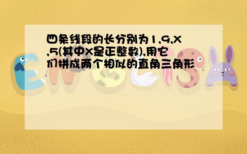 四条线段的长分别为1,9,X,5(其中X是正整数),用它们拼成两个相似的直角三角形