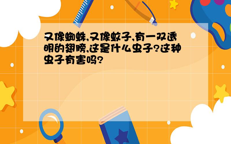 又像蜘蛛,又像蚊子,有一双透明的翅膀,这是什么虫子?这种虫子有害吗?