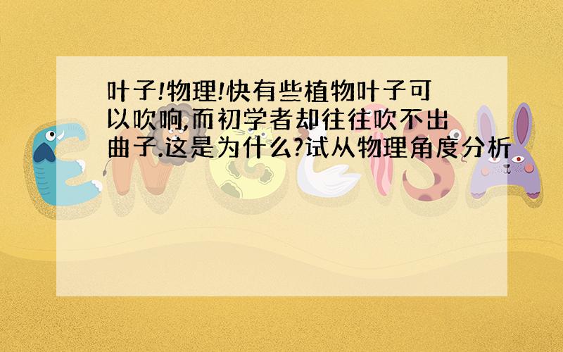 叶子!物理!快有些植物叶子可以吹响,而初学者却往往吹不出曲子.这是为什么?试从物理角度分析