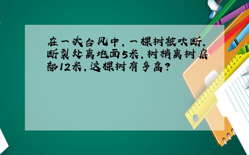 在一次台风中,一棵树被吹断,断裂处离地面5米,树梢离树底部12米,这棵树有多高?