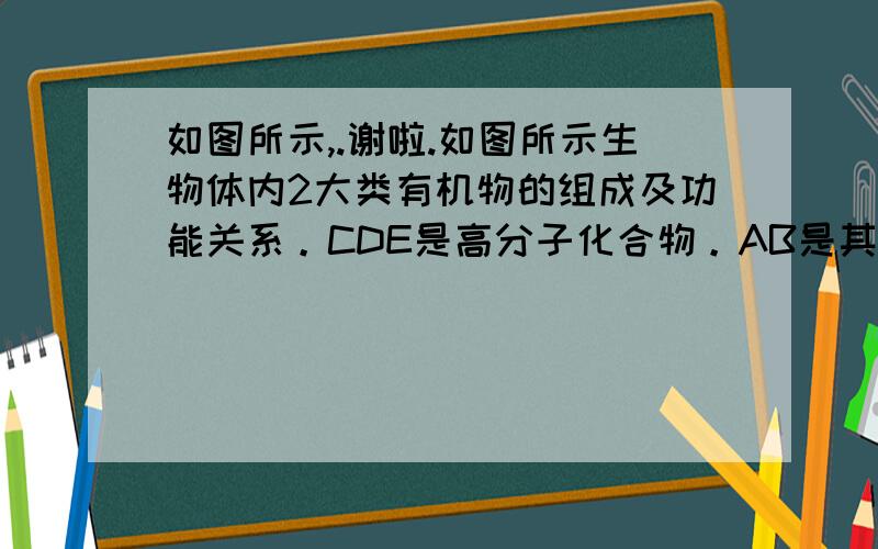 如图所示,.谢啦.如图所示生物体内2大类有机物的组成及功能关系。CDE是高分子化合物。AB是其基本组成单位。求ABCDE