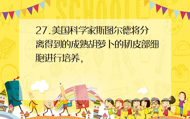 27.美国科学家斯图尔德将分离得到的成熟胡萝卜的韧皮部细胞进行培养,