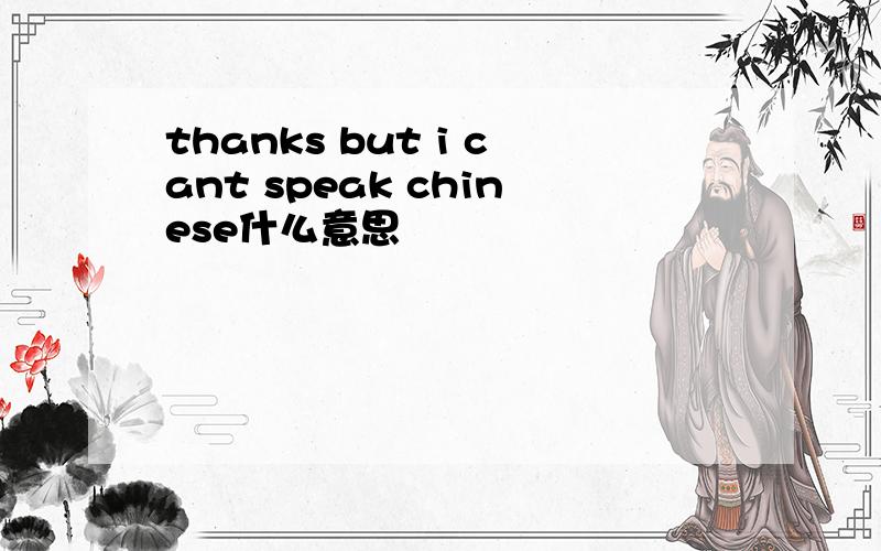 thanks but i cant speak chinese什么意思