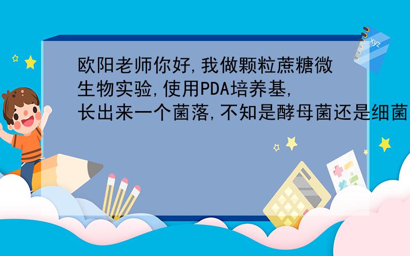 欧阳老师你好,我做颗粒蔗糖微生物实验,使用PDA培养基,长出来一个菌落,不知是酵母菌还是细菌?