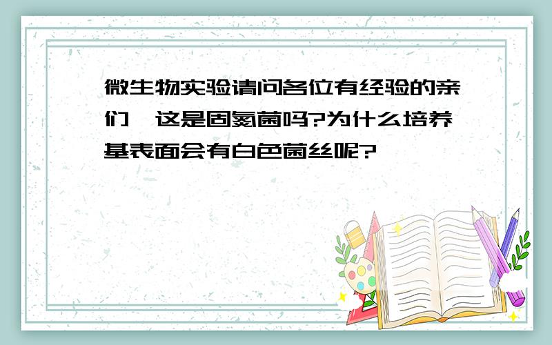 微生物实验请问各位有经验的亲们,这是固氮菌吗?为什么培养基表面会有白色菌丝呢?