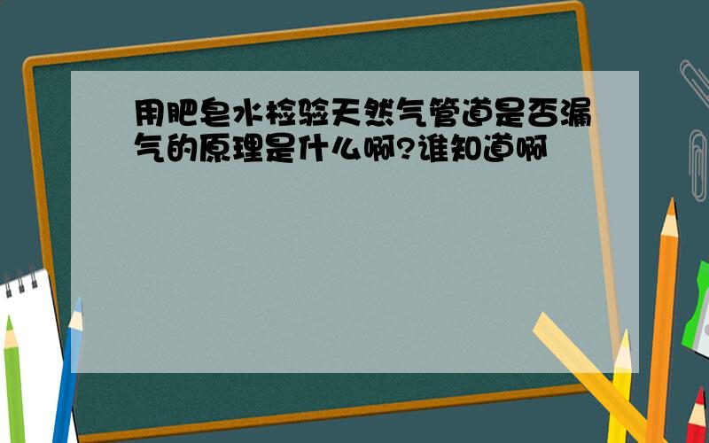 用肥皂水检验天然气管道是否漏气的原理是什么啊?谁知道啊