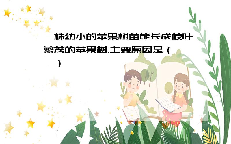 一株幼小的苹果树苗能长成枝叶繁茂的苹果树，主要原因是（　　）