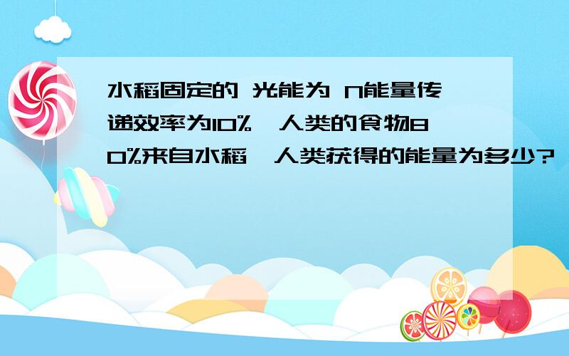 水稻固定的 光能为 N能量传递效率为10%,人类的食物80%来自水稻,人类获得的能量为多少?