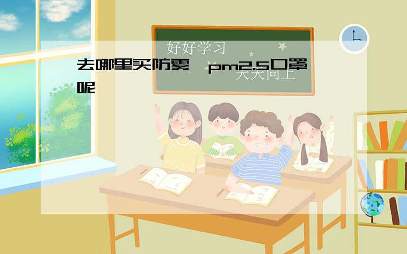 去哪里买防雾霾pm2.5口罩呢,